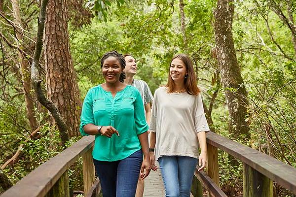 three students walking on a nature trail